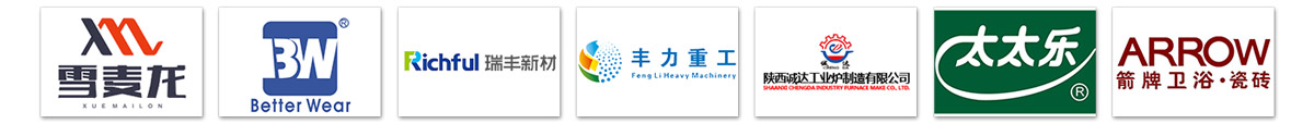z型斗式提升机客户案例